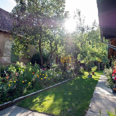 Villa Rihuini Eco Wine House Transylvania Richisu Екстер'єр фото