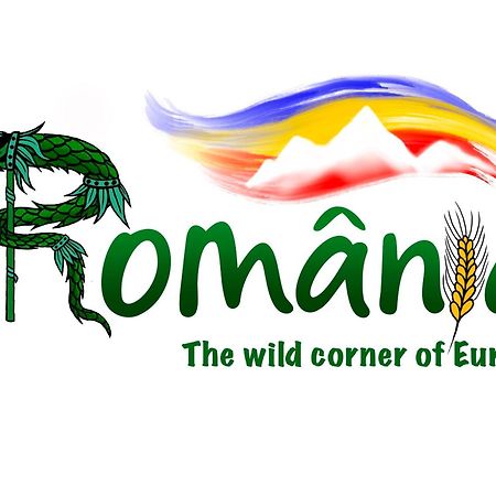 Villa Rihuini Eco Wine House Transylvania Richisu Екстер'єр фото