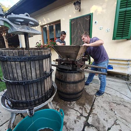Villa Rihuini Eco Wine House Transylvania Richisu Екстер'єр фото