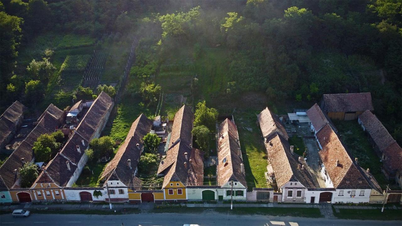 Villa Rihuini Eco Wine House Transylvania Richisu Екстер'єр фото