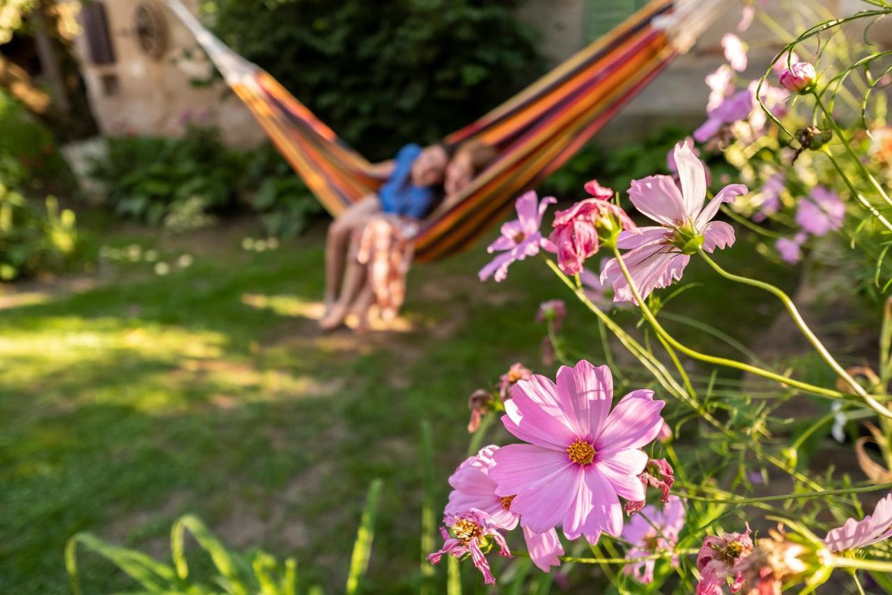 Villa Rihuini Eco Wine House Transylvania Richisu Екстер'єр фото