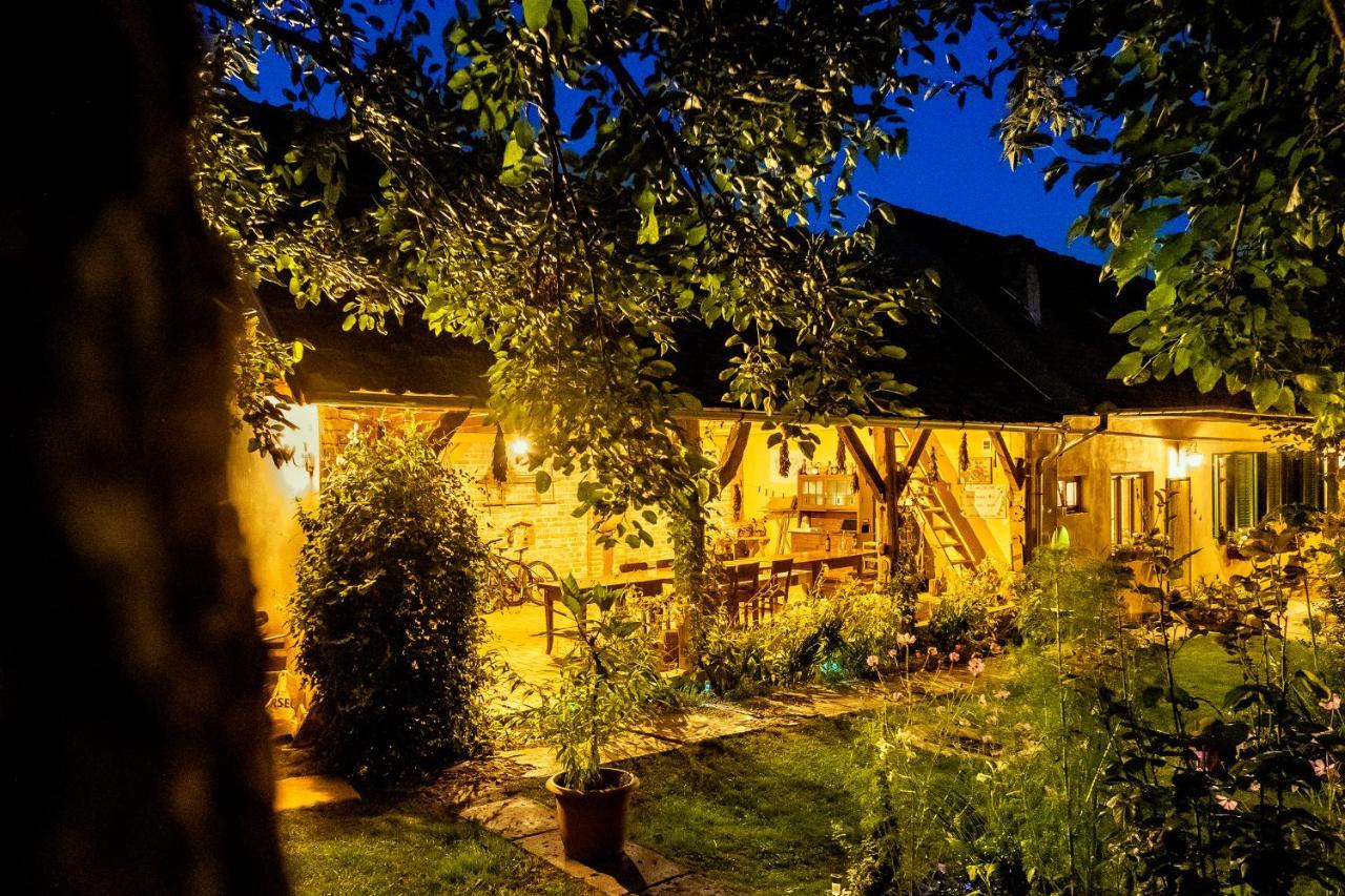 Villa Rihuini Eco Wine House Transylvania Richisu Екстер'єр фото