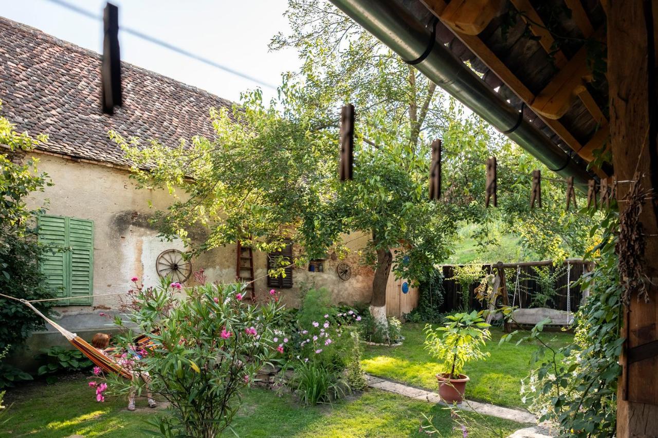 Villa Rihuini Eco Wine House Transylvania Richisu Екстер'єр фото
