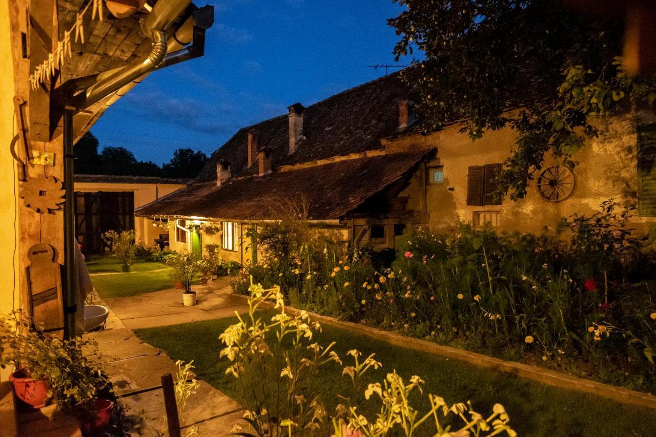 Villa Rihuini Eco Wine House Transylvania Richisu Екстер'єр фото