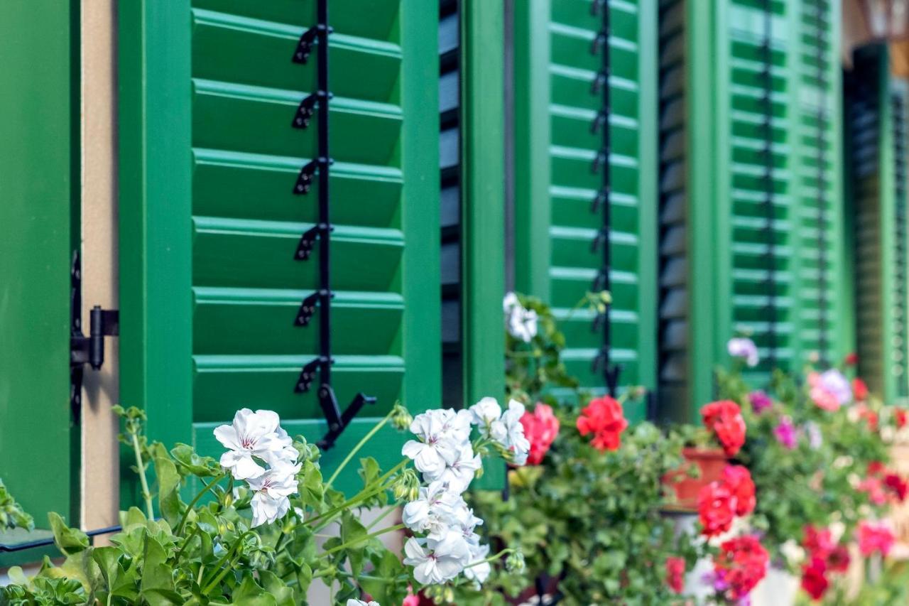 Villa Rihuini Eco Wine House Transylvania Richisu Екстер'єр фото