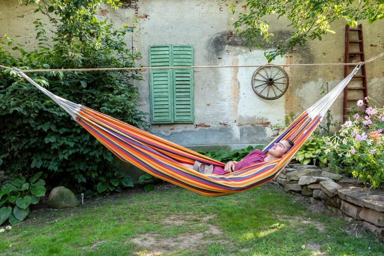 Villa Rihuini Eco Wine House Transylvania Richisu Екстер'єр фото