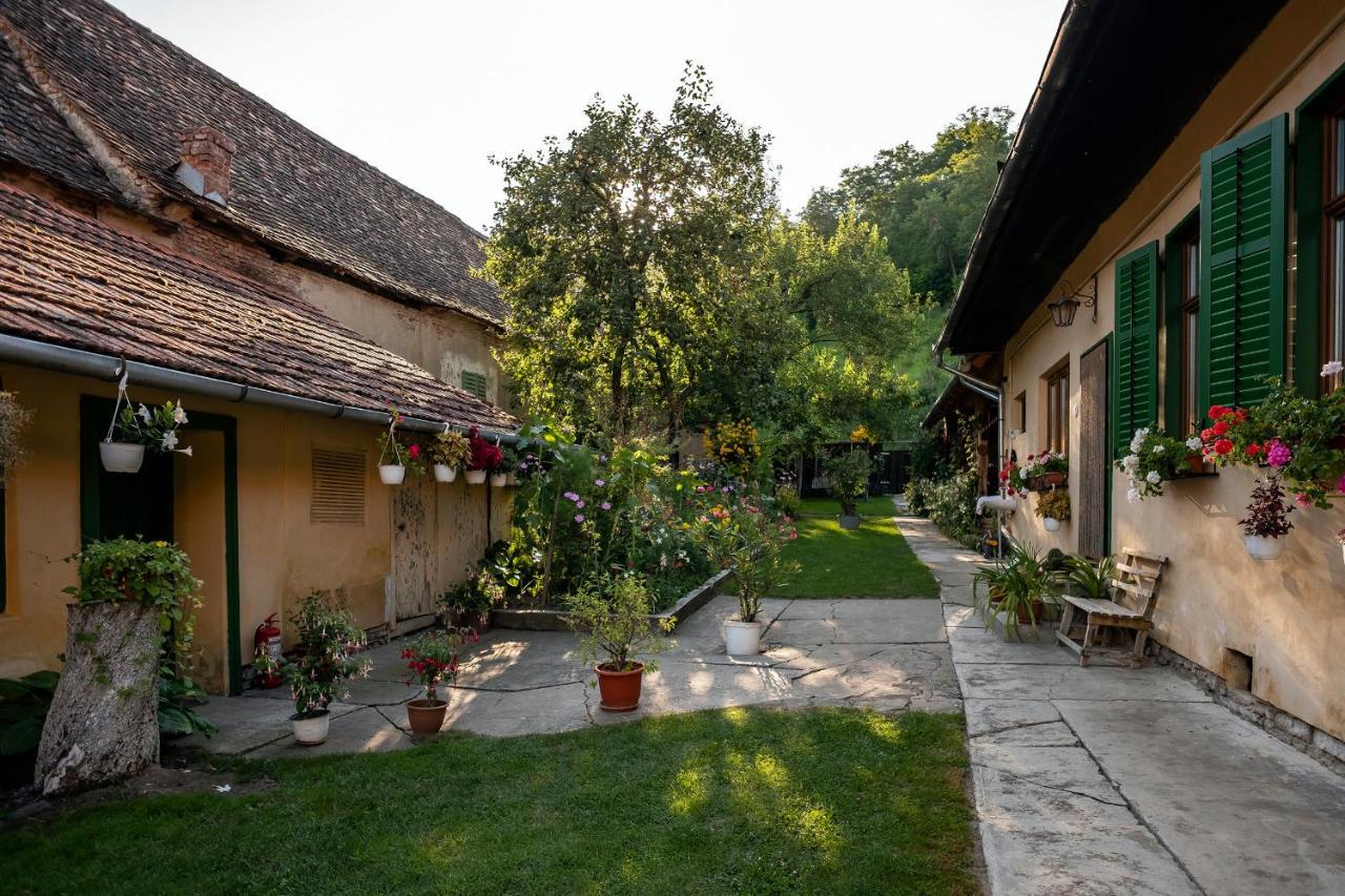 Villa Rihuini Eco Wine House Transylvania Richisu Екстер'єр фото