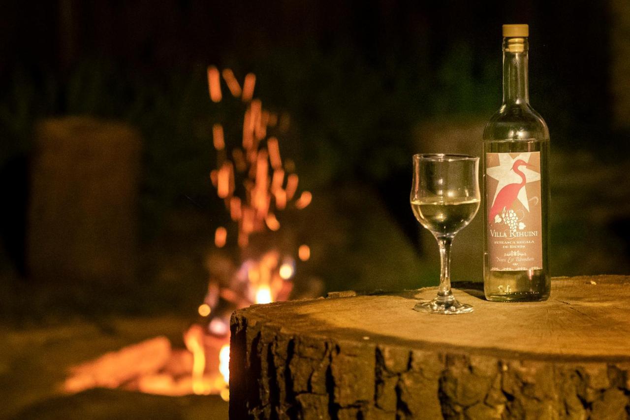 Villa Rihuini Eco Wine House Transylvania Richisu Екстер'єр фото