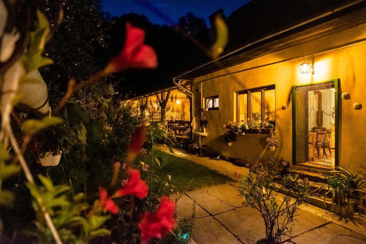 Villa Rihuini Eco Wine House Transylvania Richisu Екстер'єр фото
