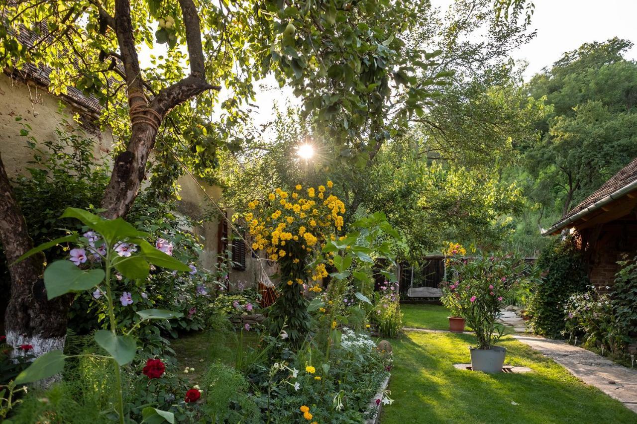 Villa Rihuini Eco Wine House Transylvania Richisu Екстер'єр фото