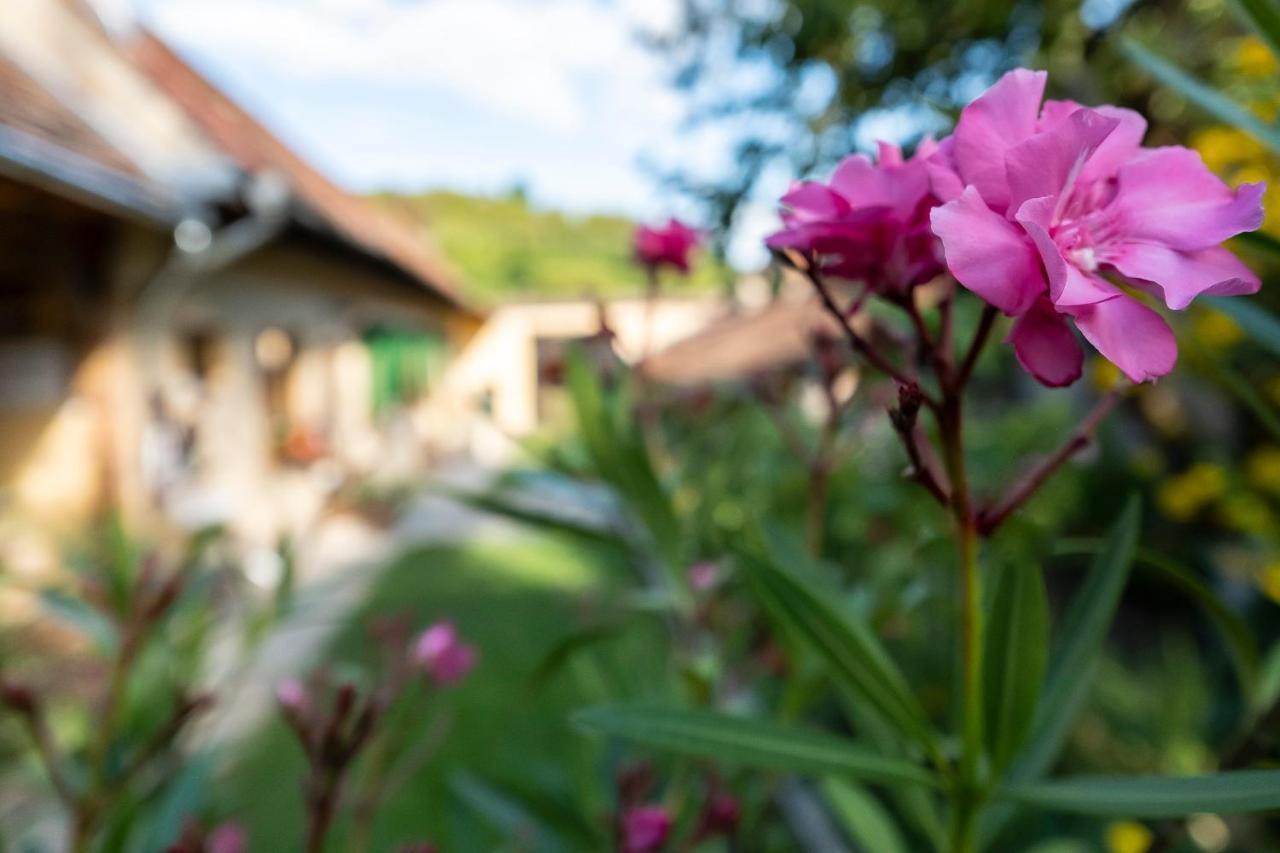 Villa Rihuini Eco Wine House Transylvania Richisu Екстер'єр фото
