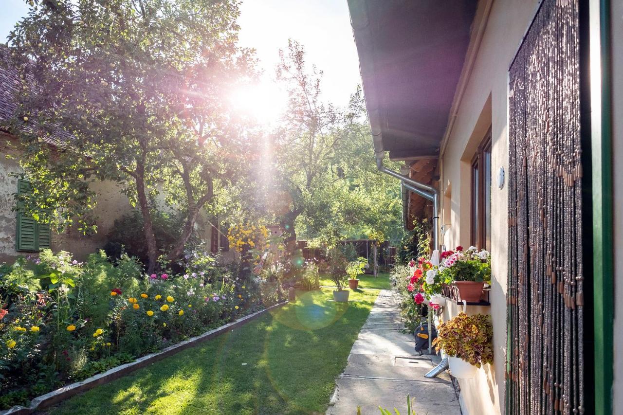 Villa Rihuini Eco Wine House Transylvania Richisu Екстер'єр фото