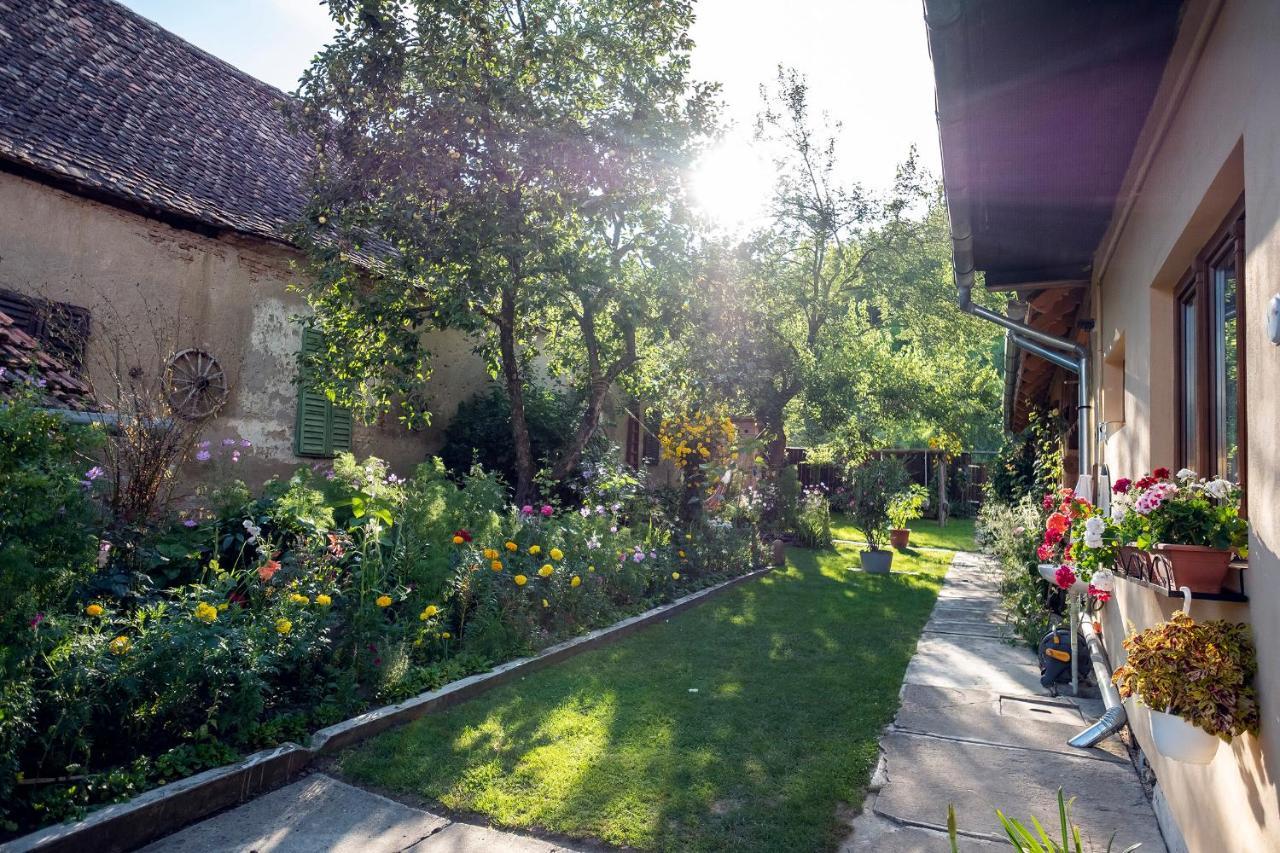 Villa Rihuini Eco Wine House Transylvania Richisu Екстер'єр фото