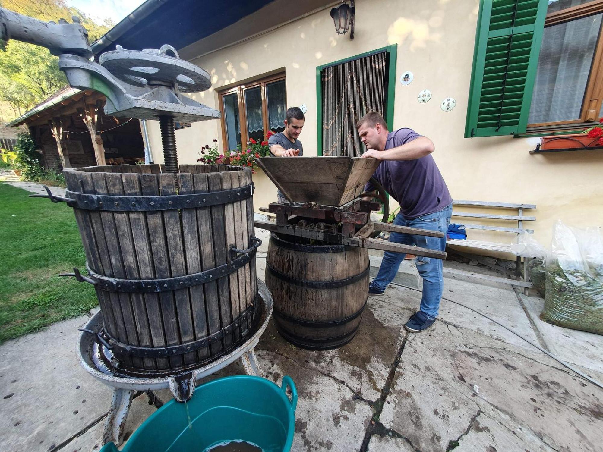 Villa Rihuini Eco Wine House Transylvania Richisu Екстер'єр фото
