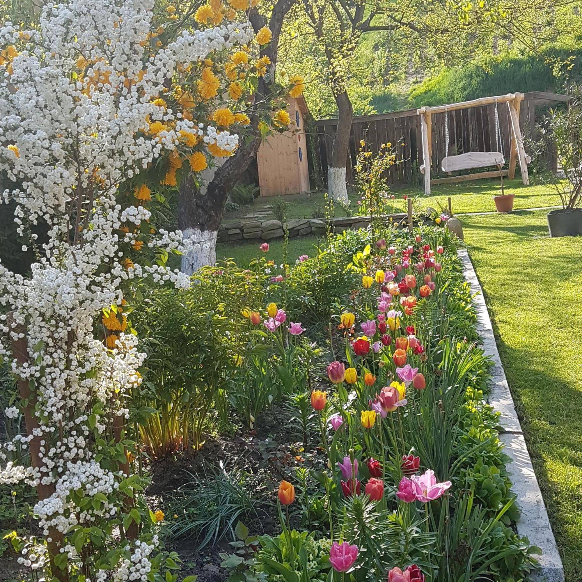 Villa Rihuini Eco Wine House Transylvania Richisu Екстер'єр фото